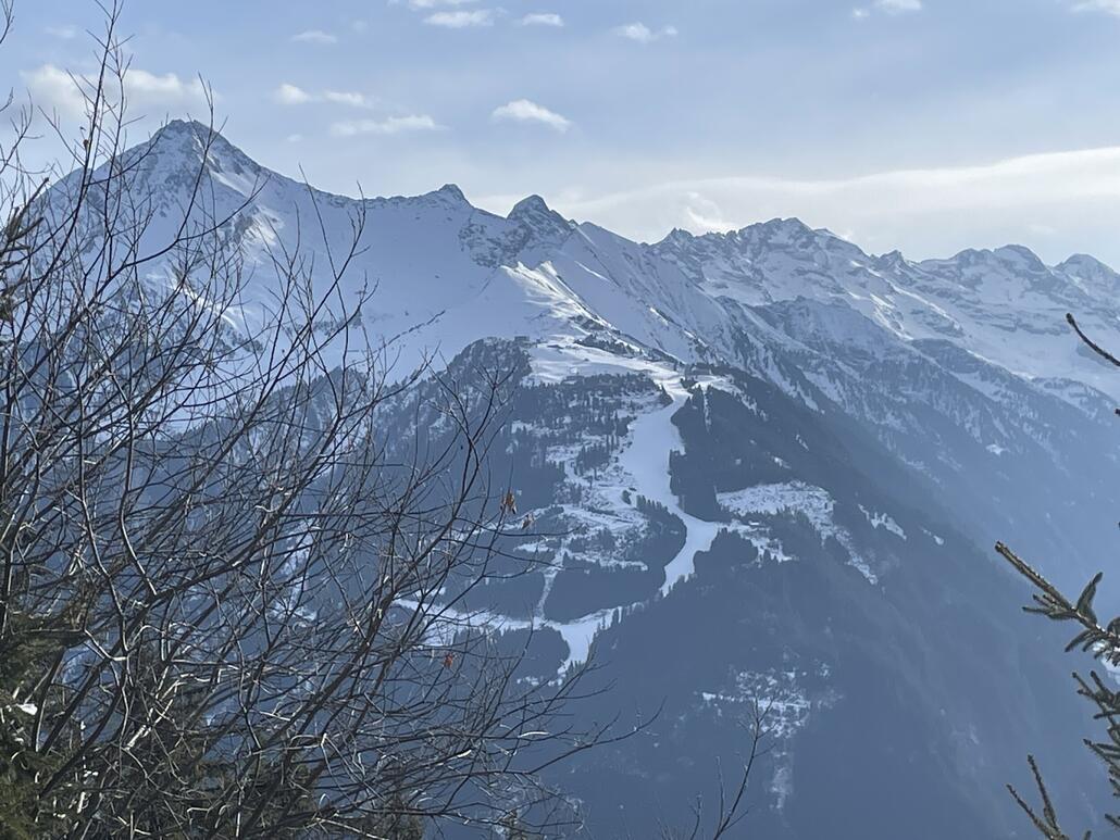 Blick Richtung Ahorn…