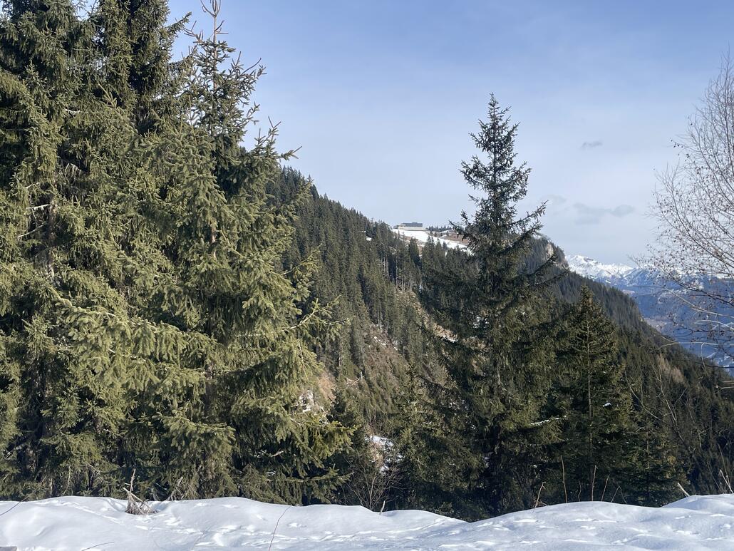 Zwischenziel in (Fern-)Sicht