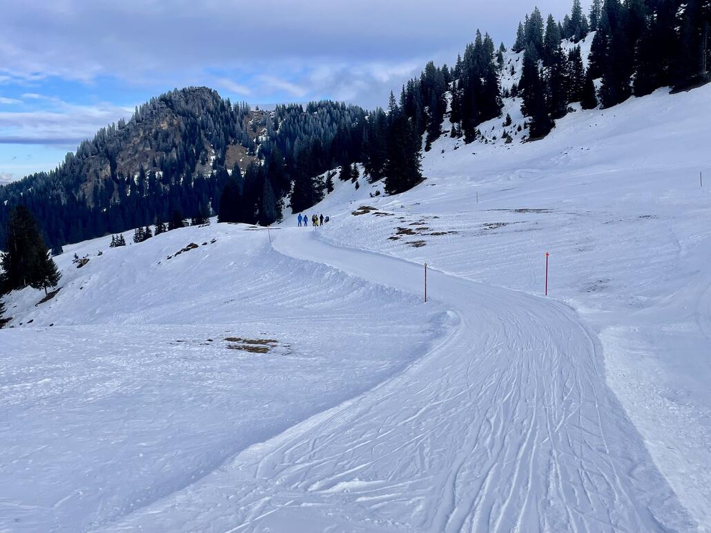 IMG_7866.jpeg (867.82 KiB) 2188 mal betrachtet Schmales Band oben.