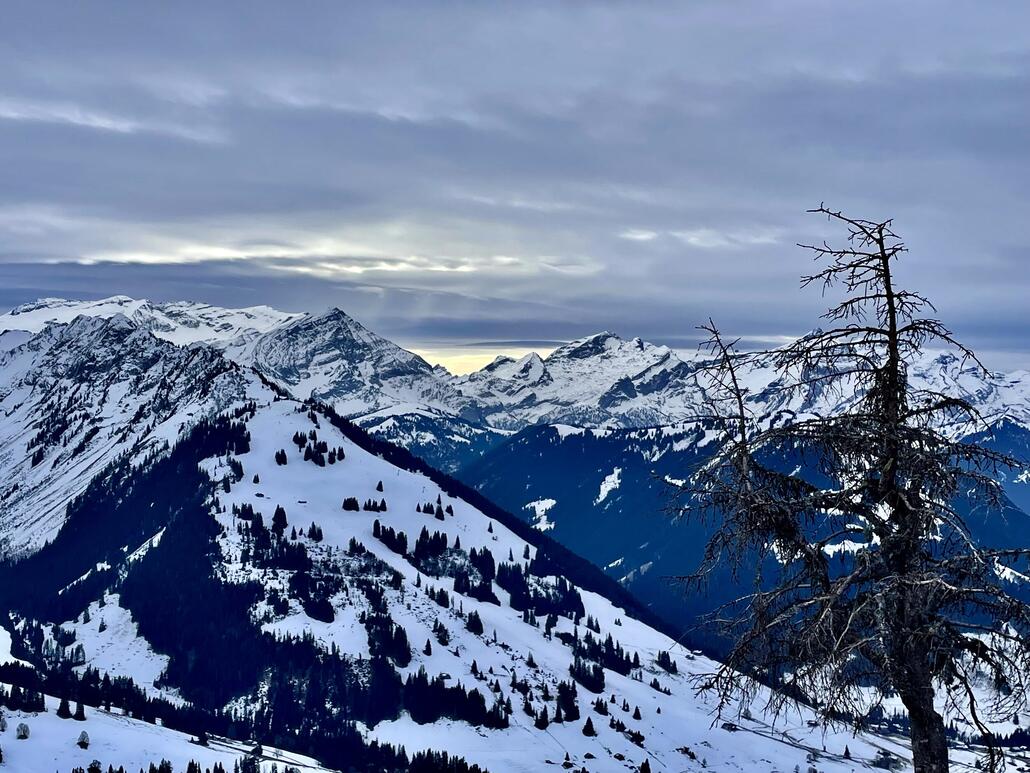 IMG_7877.jpeg (933.26 KiB) 2188 mal betrachtet Schick!