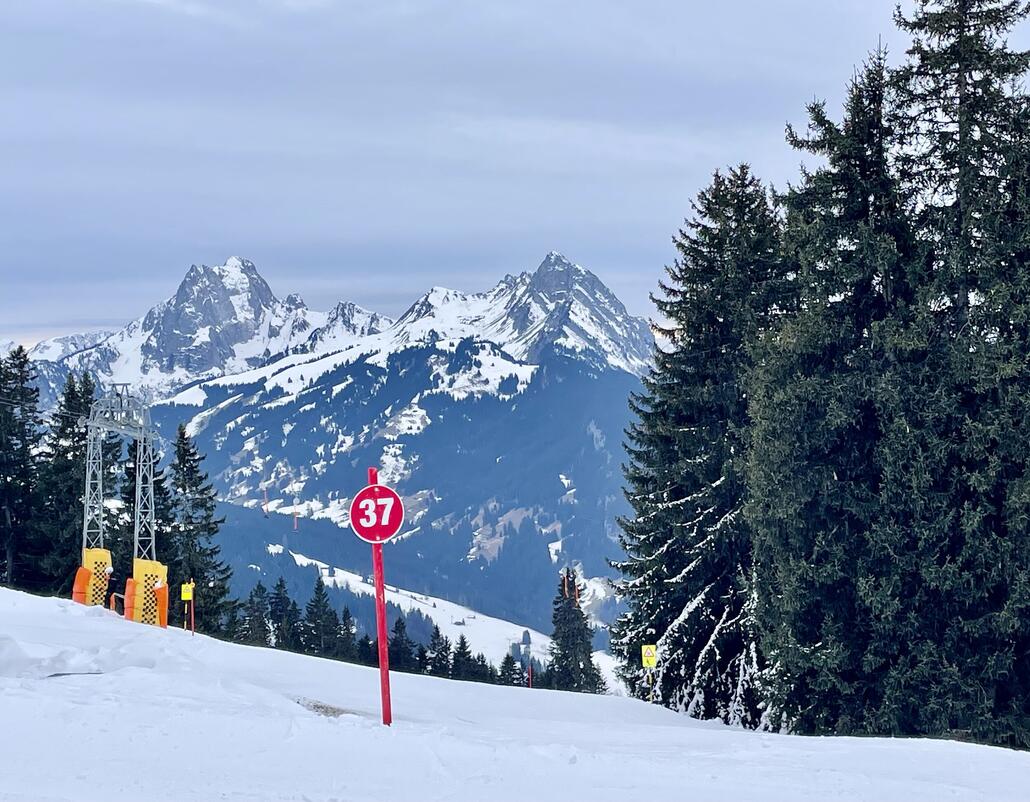 IMG_7882.jpeg (955.57 KiB) 2188 mal betrachtet Hier gehts zum SL Läger