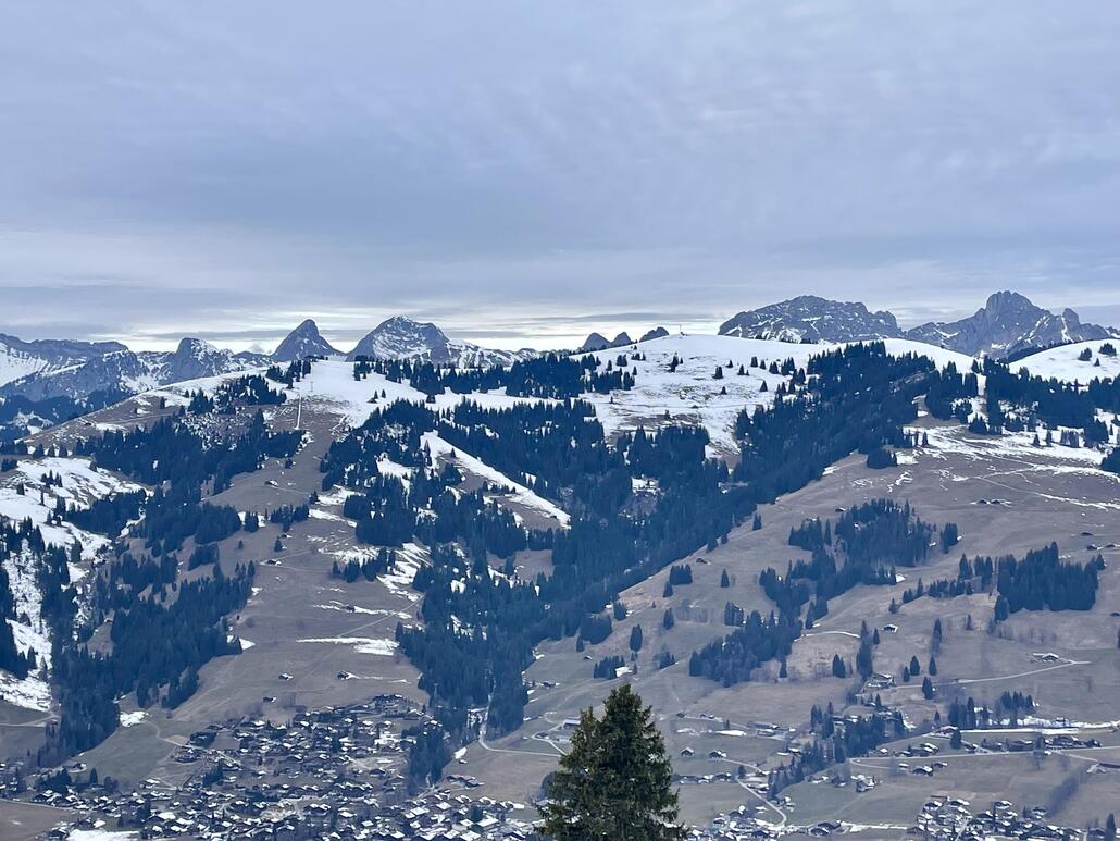 IMG_7887.jpeg (803.25 KiB) 2188 mal betrachtet Blick zum geschlossenen Rellerli