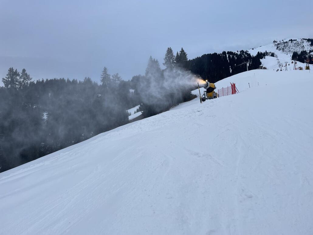 IMG_7896.jpeg (339.17 KiB) 2188 mal betrachtet Hier laufen die Kanonen für SL Birrmoos