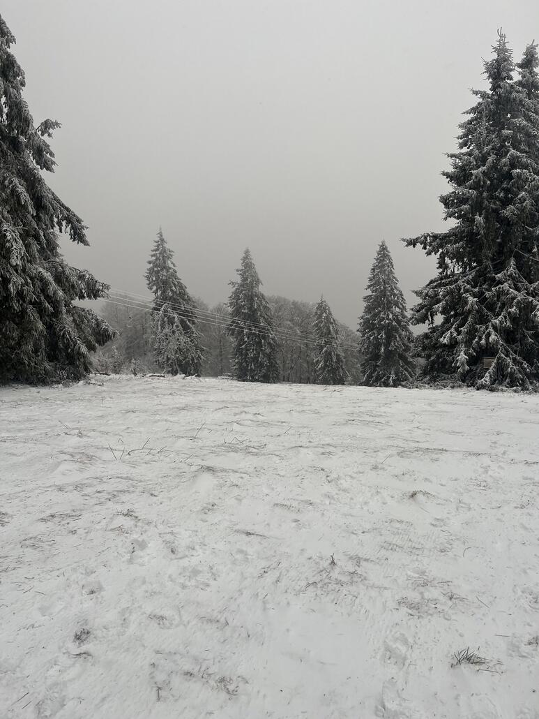 Seit den Bildern sind nochmal gute 10cm gefallen.