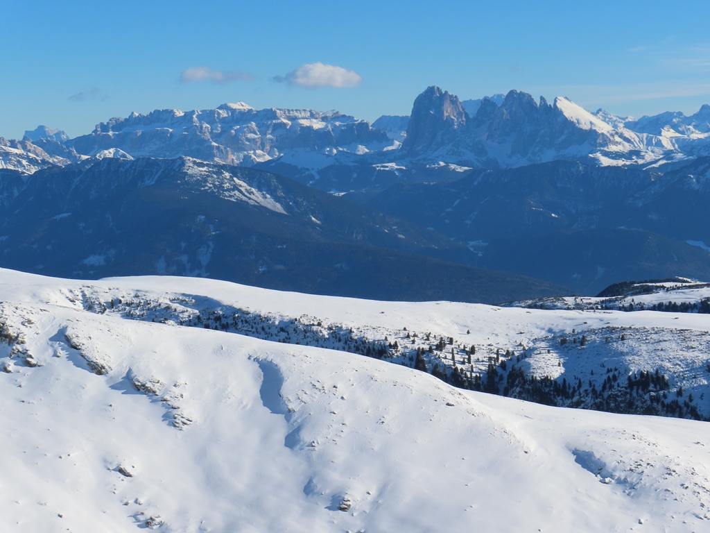 Dolomitenpanorama (Sella und Langkofel, davor der Champinoi)