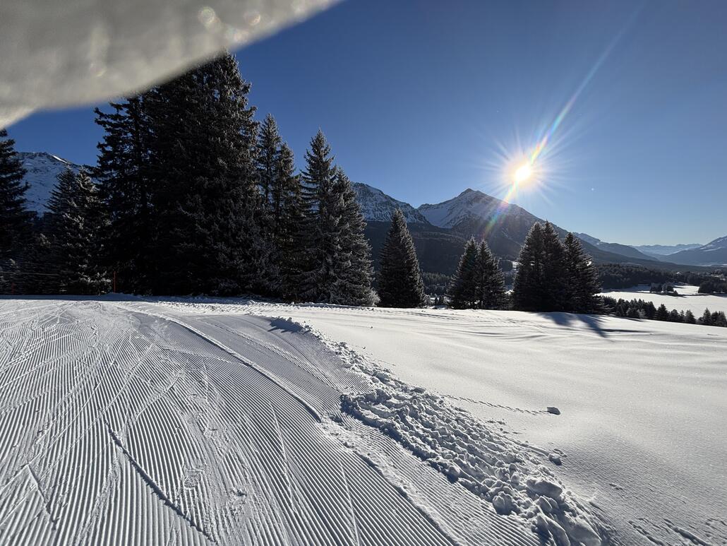Bis anhin verlief die Piste weiter rechts, der Sonne entgegen, bevor sie links zwischen den Tannen verschwand.