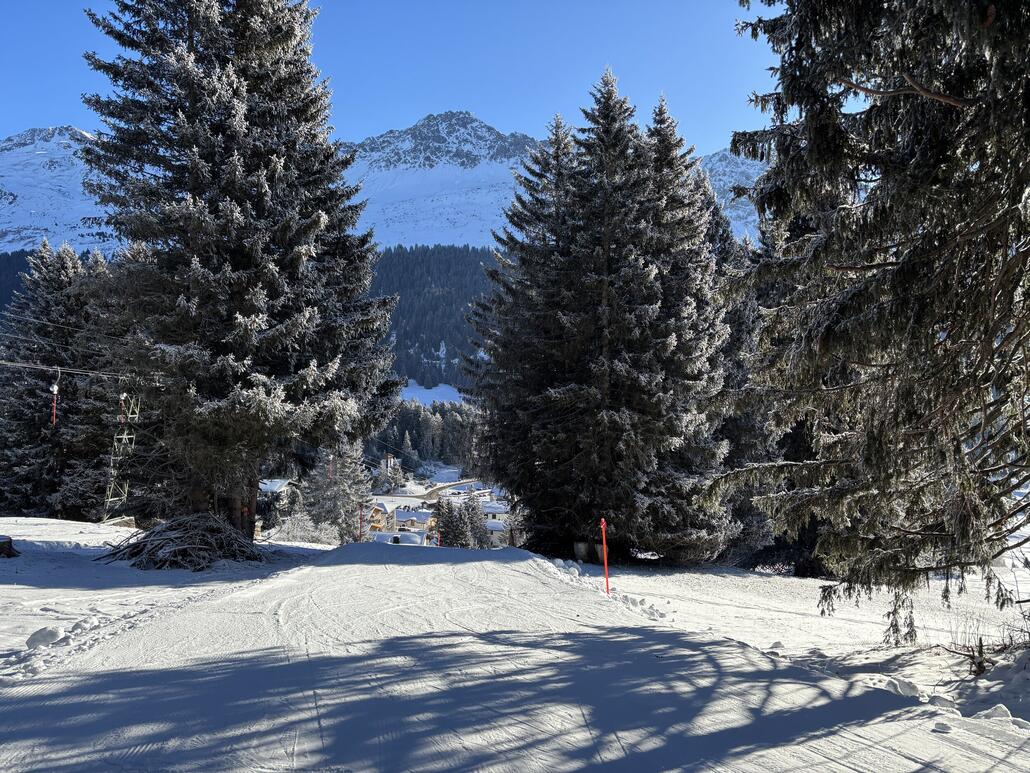 Nun führt sie weiter links Richtung Schlepplift zwischen den Bäumen hindurch.