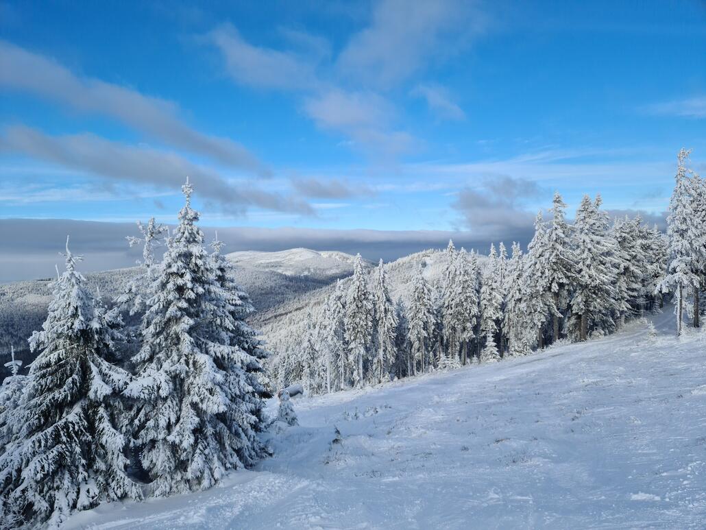 Ausblick vom Hochficht