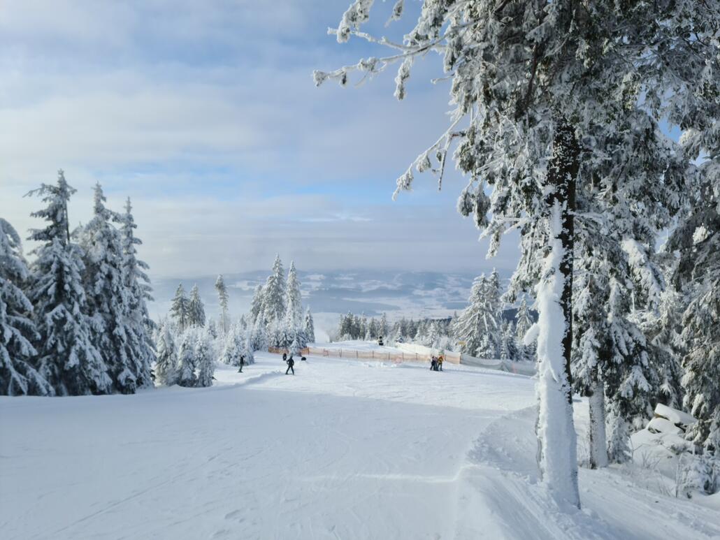 Ebenfalls am Hochfichtgipfel