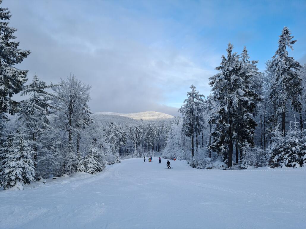 Start der Schwarzenbergabfahrt am Zwieselberg