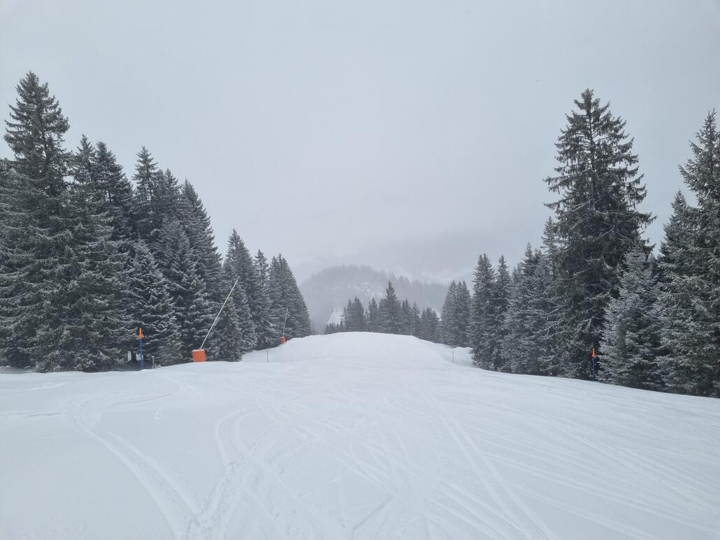 20260108_105350.jpg (825.13 KiB) 1975 mal betrachtet Videmanette, was für eine coole Abfahrt über 1200 Höhenmeter. Ist direkt in den Top 10 meiner Lieblingspisten