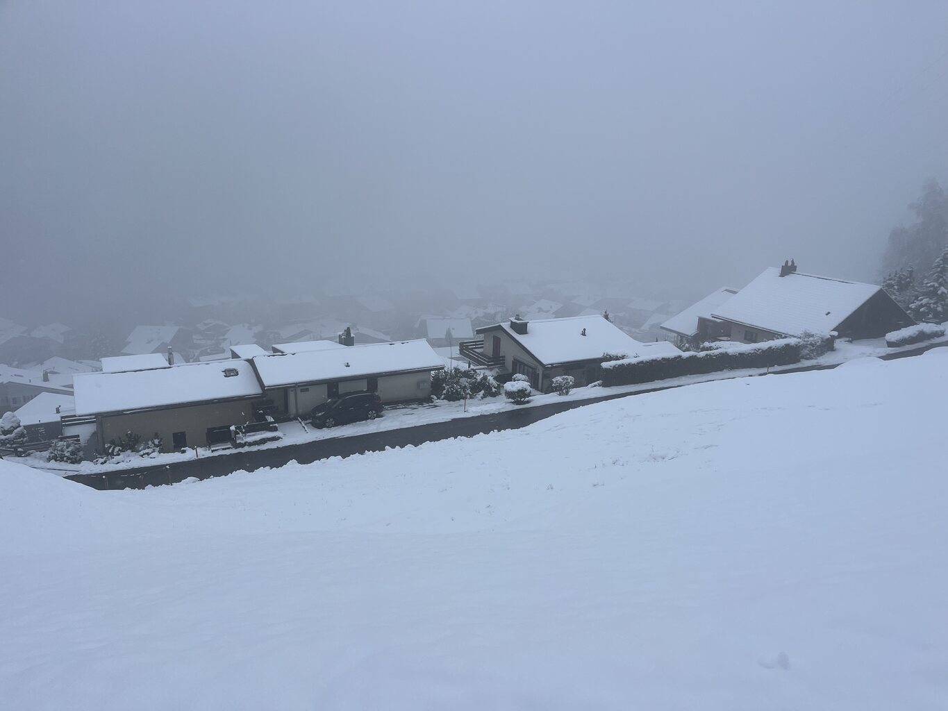 2024-01-07 14.32.26.jpg