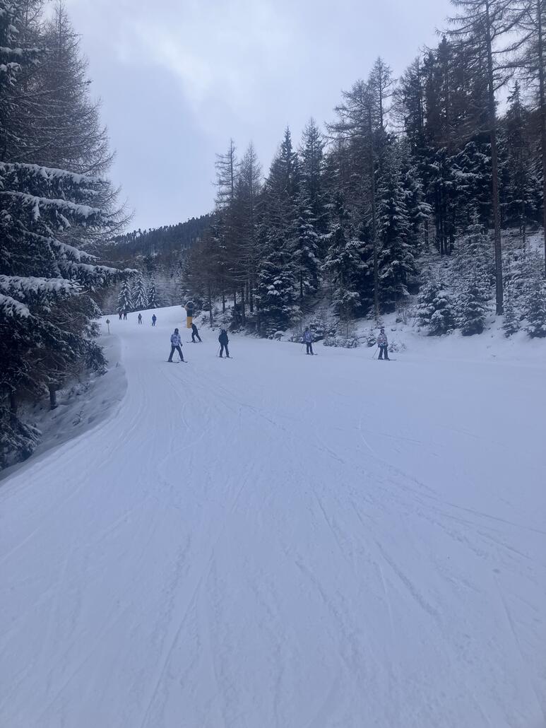 Talabfahrt 10 - schön im verschneiten Wald