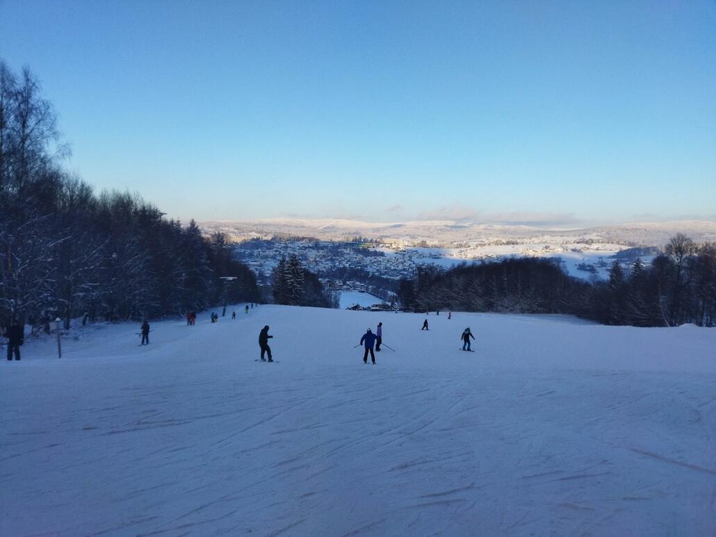 Oberer Teil vom Ausstieg aus. Die Schneise hinten ca mittig ist die große Almbergabfahrt im Skizentrum Mitterdorf (heuer 21 Mio für 2 neue Sesselbahnen, Beschneiungsteichvergrößerung und Sommerbetrieb investiert!).