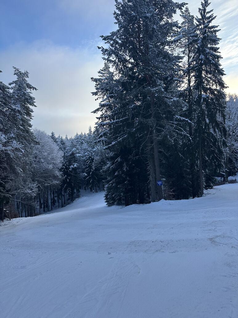 Blick auf die Familienabfahrt, Schnee sieht nach mehr aus als er war, Pisten waren wirklich teilweise ein einziges Acker.