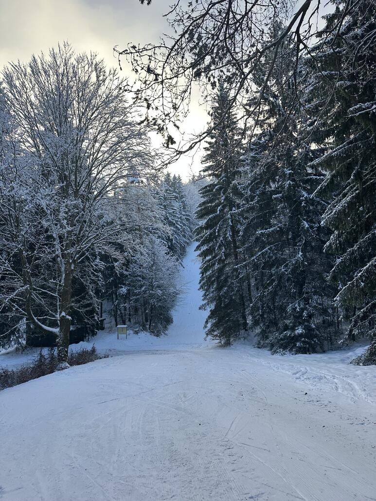 Kleine Variante der Familienabfahrt, in der Schneise soll eine Sprungschanze gewesen sein.