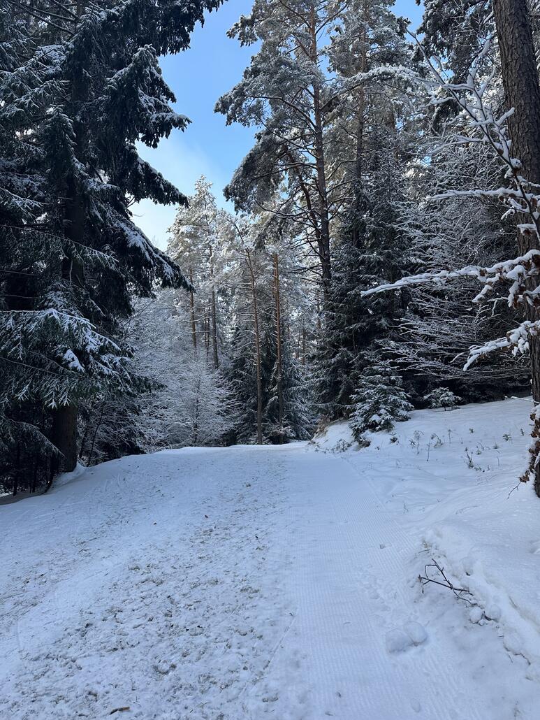 Nach paar mal Familienabfahrt, folge ich Einheimischen auf das Schiebestück zur Tourenabfahrt.