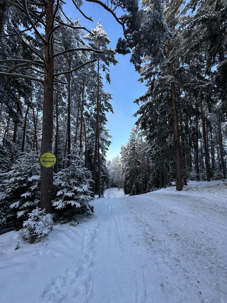 Und am Starthang, hatte hier wirklich wenig Schnee aber durch das Aufsteigen sehr wenig frequentiert.