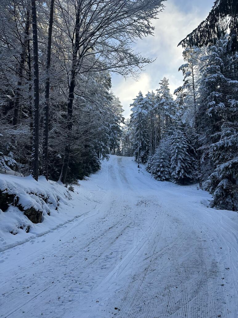 Rückblick auf den 1. Steilhang, hier kommt richtig Skifeeling auf, die Abfahrt auf jeden Fall das Highlight am Brennberg!