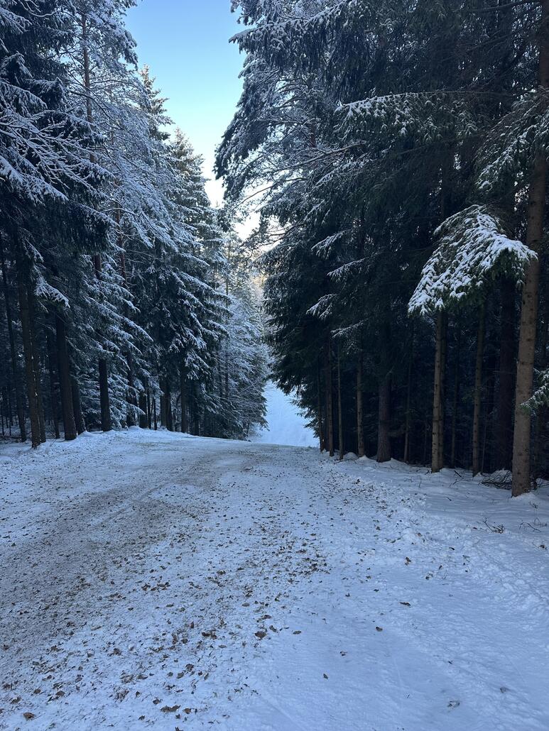 Im 2. Steilhang noch mehr Dreck, aber glücklicherweise fast nur Gras und kaum Steine :)