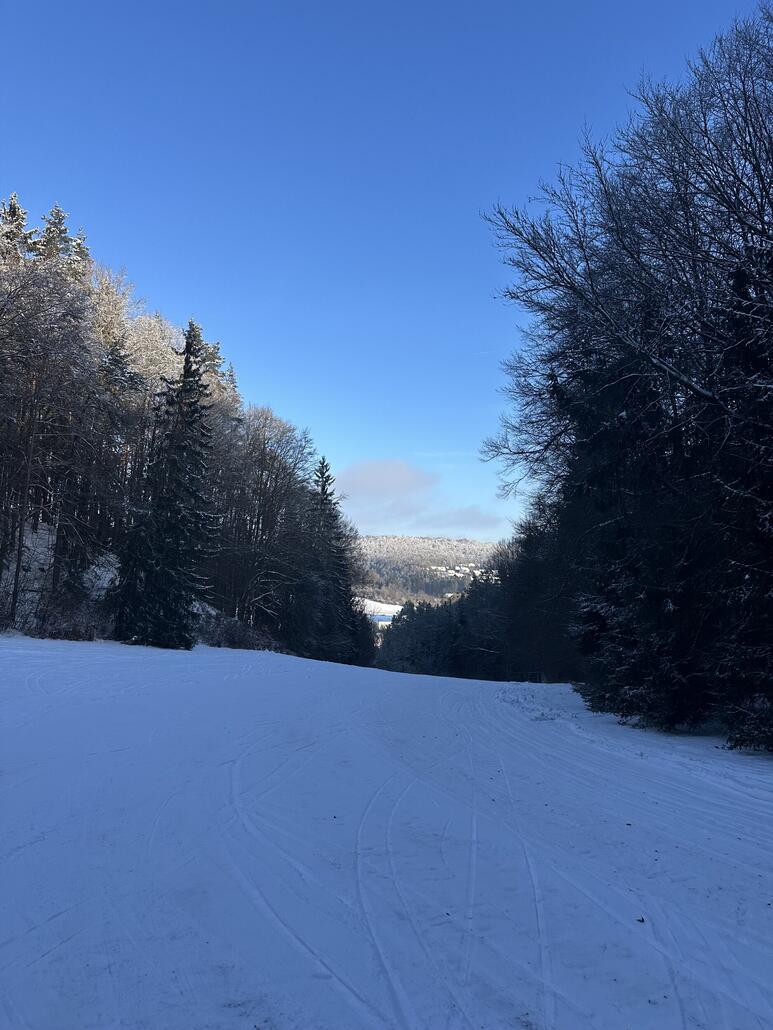 Unterer Hang, kann man fast carven ;) Hier ist der Schnee auch am besten.