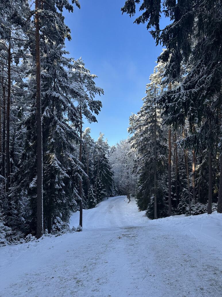 und einem letzte Mal Tourenabfahrt...