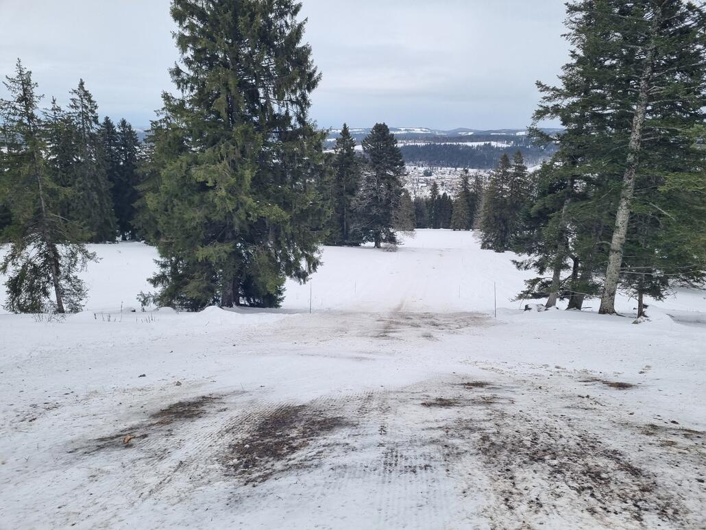 Man musste seine Spuren sorgfältig wählen