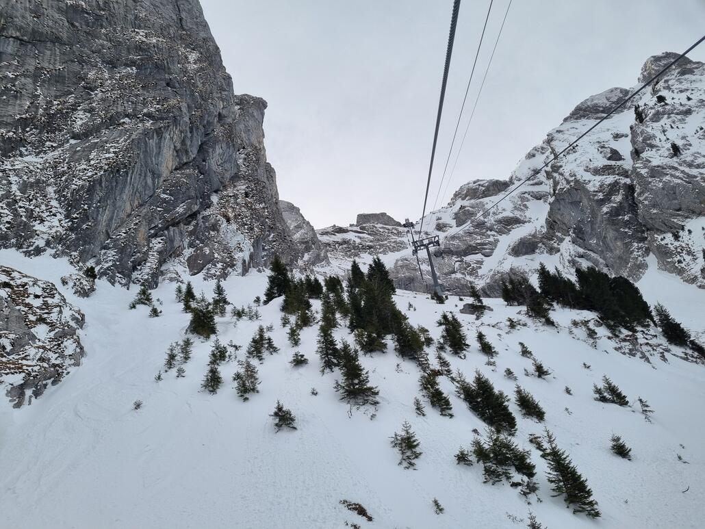 20260113_091914.jpg (1.28 MiB) 1525 mal betrachtet Oberer Teil der Seilbahntrasse. Hier stürmte es letztes Mal wie verrückt. Heute windstill.