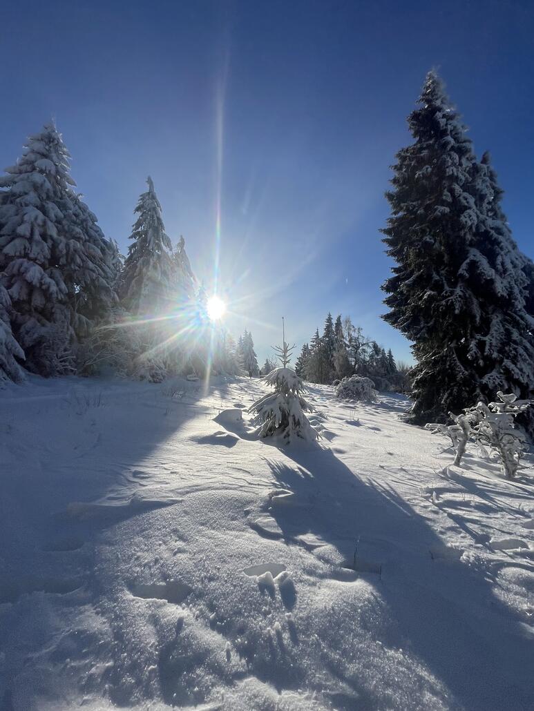 Bei bestem Wetter war einiges los.