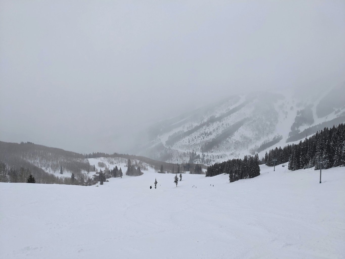 In der Larkspur Bowl