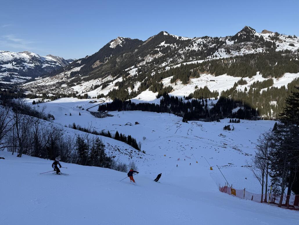 Der dritte Steilhang ist dann relativ harmlos, aber bis zur Talstation zieht es sich noch. Wie vorher erwähnt, wäre da nicht die nervige lauferei von der PB-Bergstation durch den Tunnel bis zum 4-SB Bergstation, würde ich glatt nochmal mit der PB hoch.
