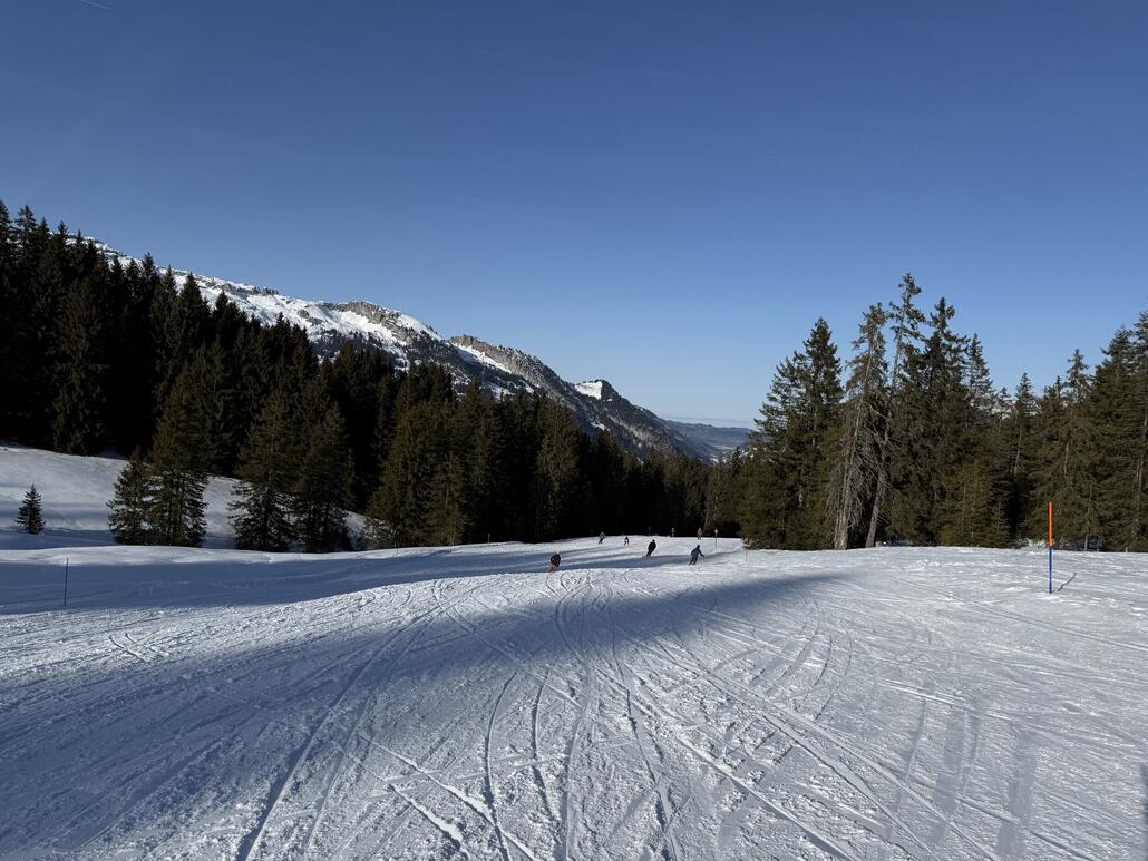 Herrlich diese schöne Waldabfahrten. Dafür liebe ich Sörenberg!