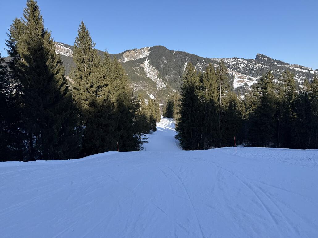 ...um weitere Waldabfahrtsvarianten herunter zu fräsen. Cool!