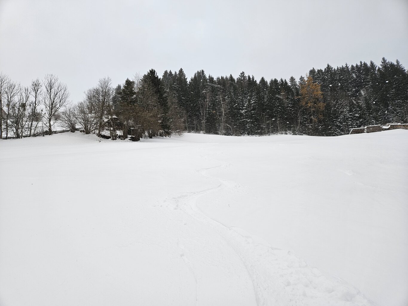 War echt am hadern auf eine zweite Runde.