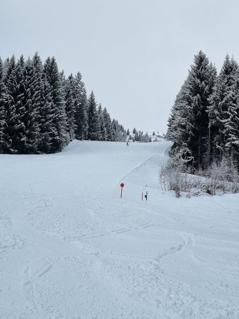 Die 72 nach Hinterglemm geht noch gut zu fahren, wenig los auf der Piste. Wesentlich besser als oberhalb am Hasenauer.