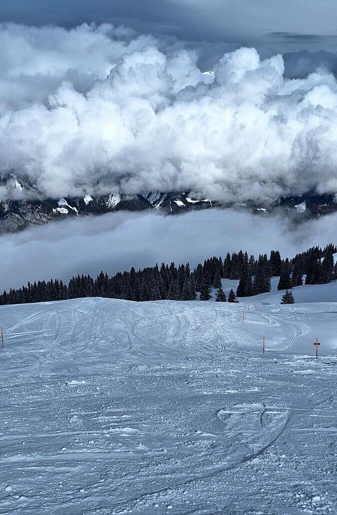 20260129_124926.jpg (958.22 KiB) 593 mal betrachtet Piste Stern