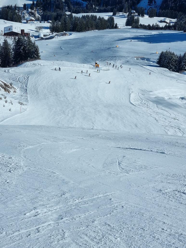 Schwarz 36 vom 12er Kogel geht wunderbar.