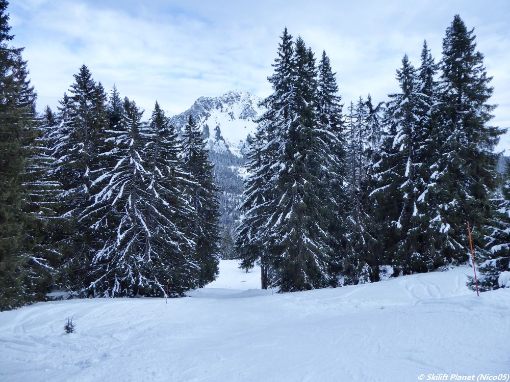 Rote Piste Gros Niremont