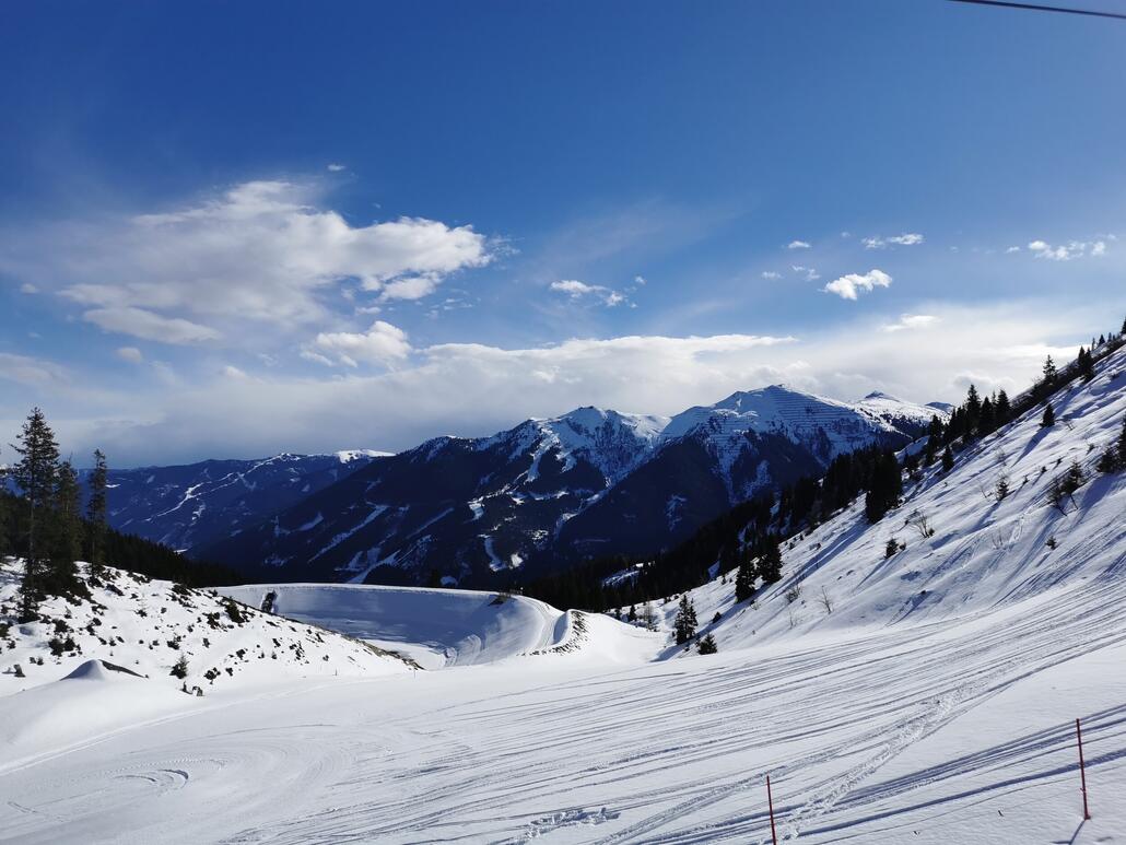 2. Hat in Natura ziemlich wild ausgesehen.